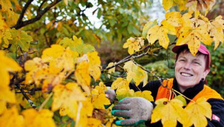 Titelbild des neuen Campus Mensch Magazins: Herbststimmung